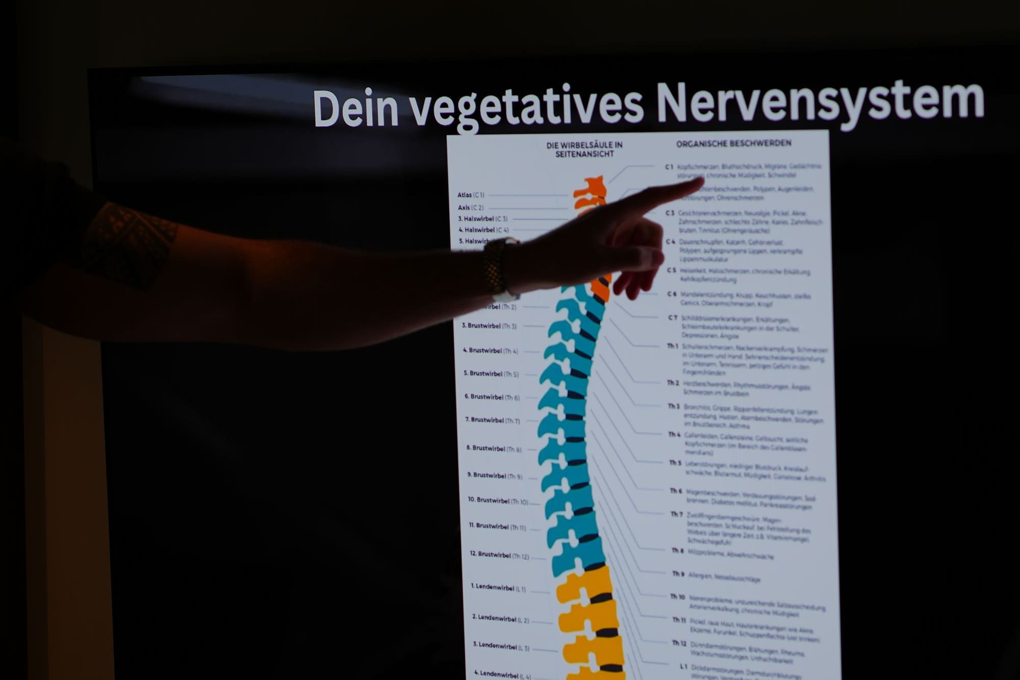 David Renken erklärt das vegetative Nervensystem